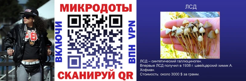 Псилоцибиновые грибы Cubensis  наркотики  Удачный 